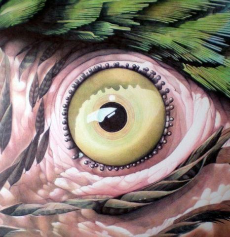 Parrot